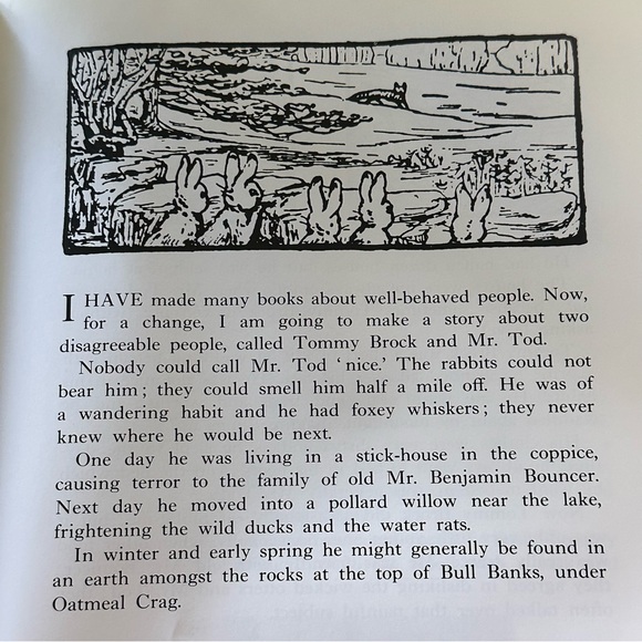 🐰 The Complete Adventures of Peter Rabbit Beatrix Potter Hardcover Book - Picture 13 of 16